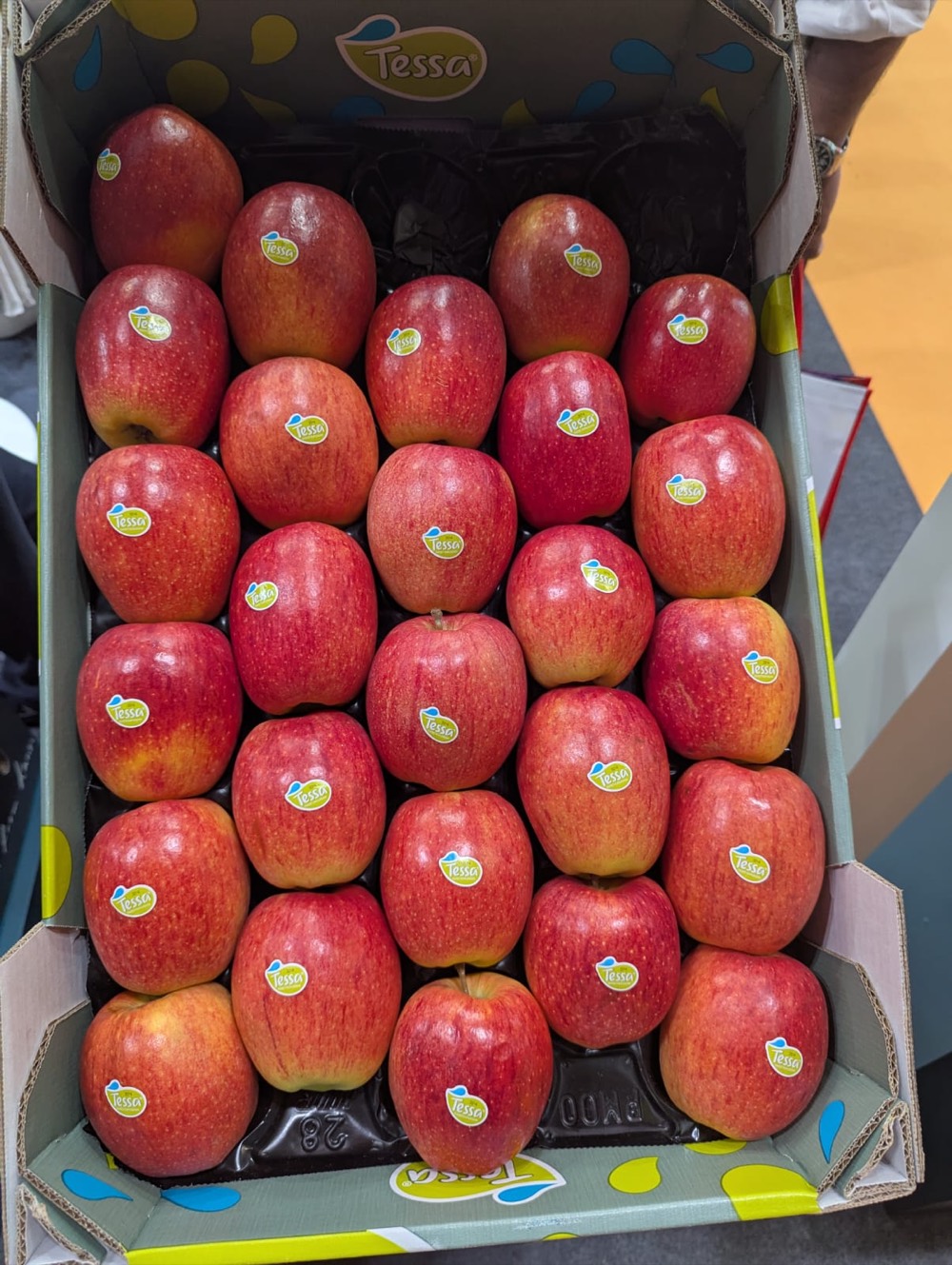 Tray of uniformly graded premium red apples