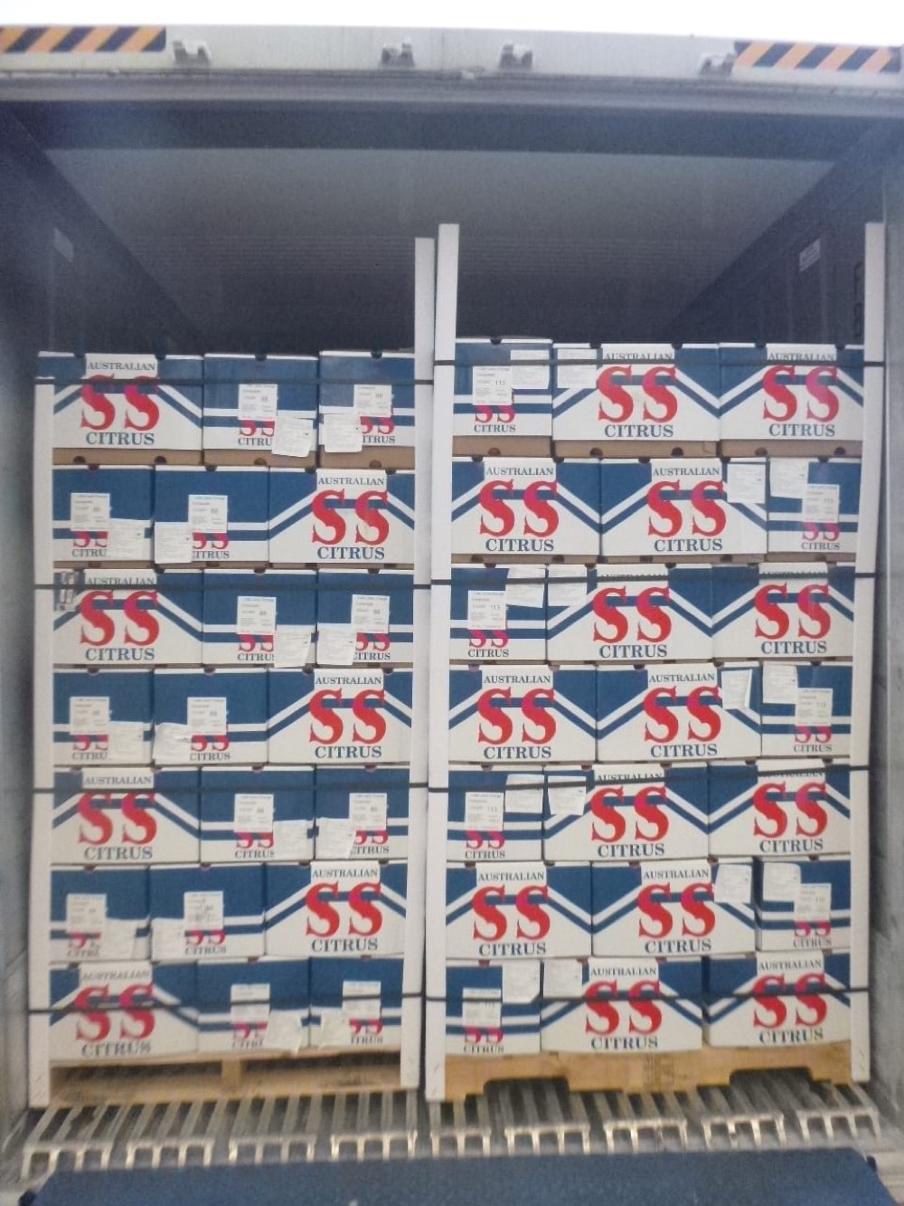 Pallets of citrus cartons secured inside a refrigerated shipping container