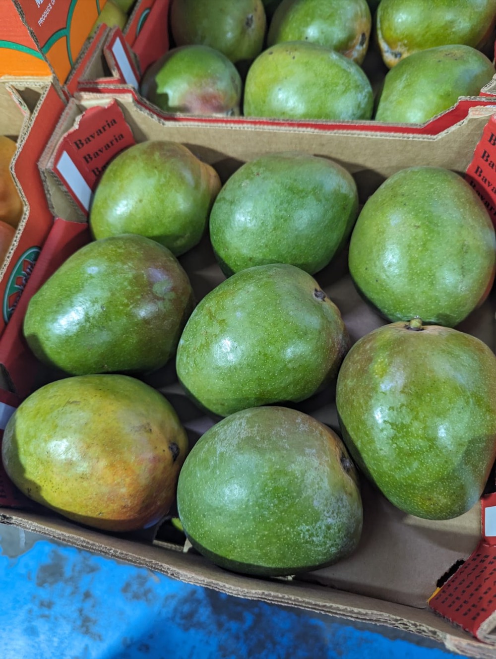 Crate of fresh green mangoes straight from harvest